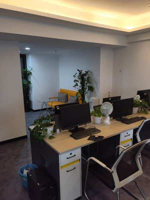 解析重慶誠(chéng)益贏商務(wù)信息咨詢 專業(yè)服務(wù)助力企業(yè)高效發(fā)展